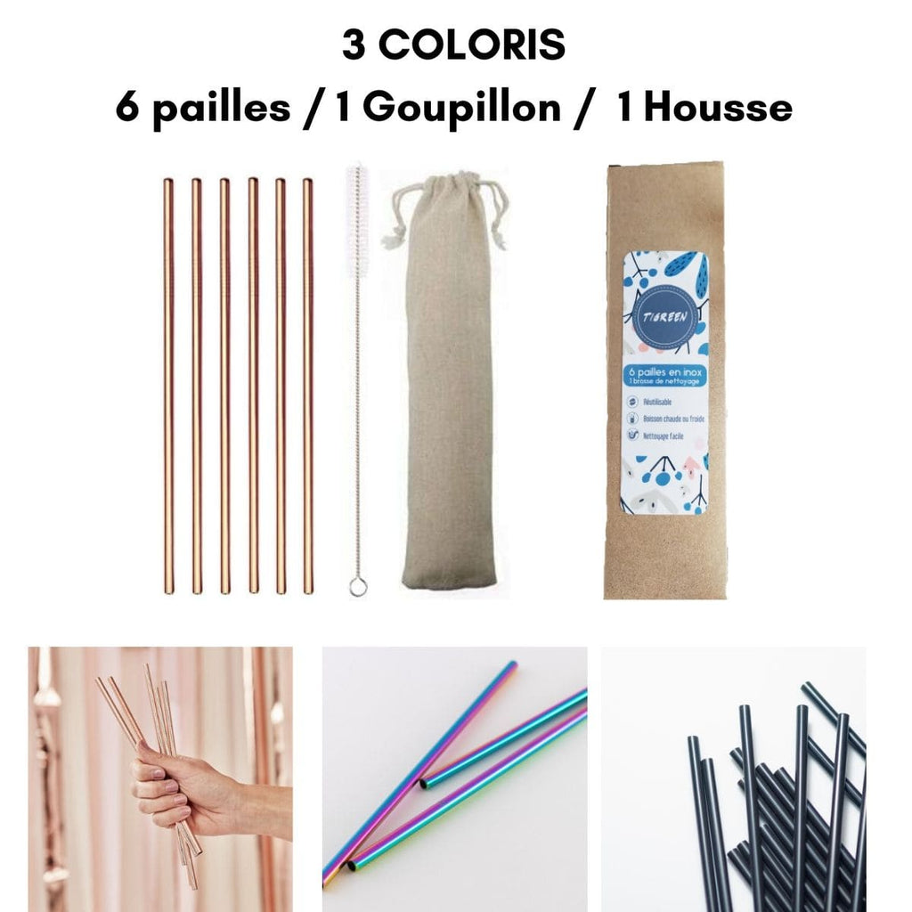 6 Pailles Reutilisables en Inox