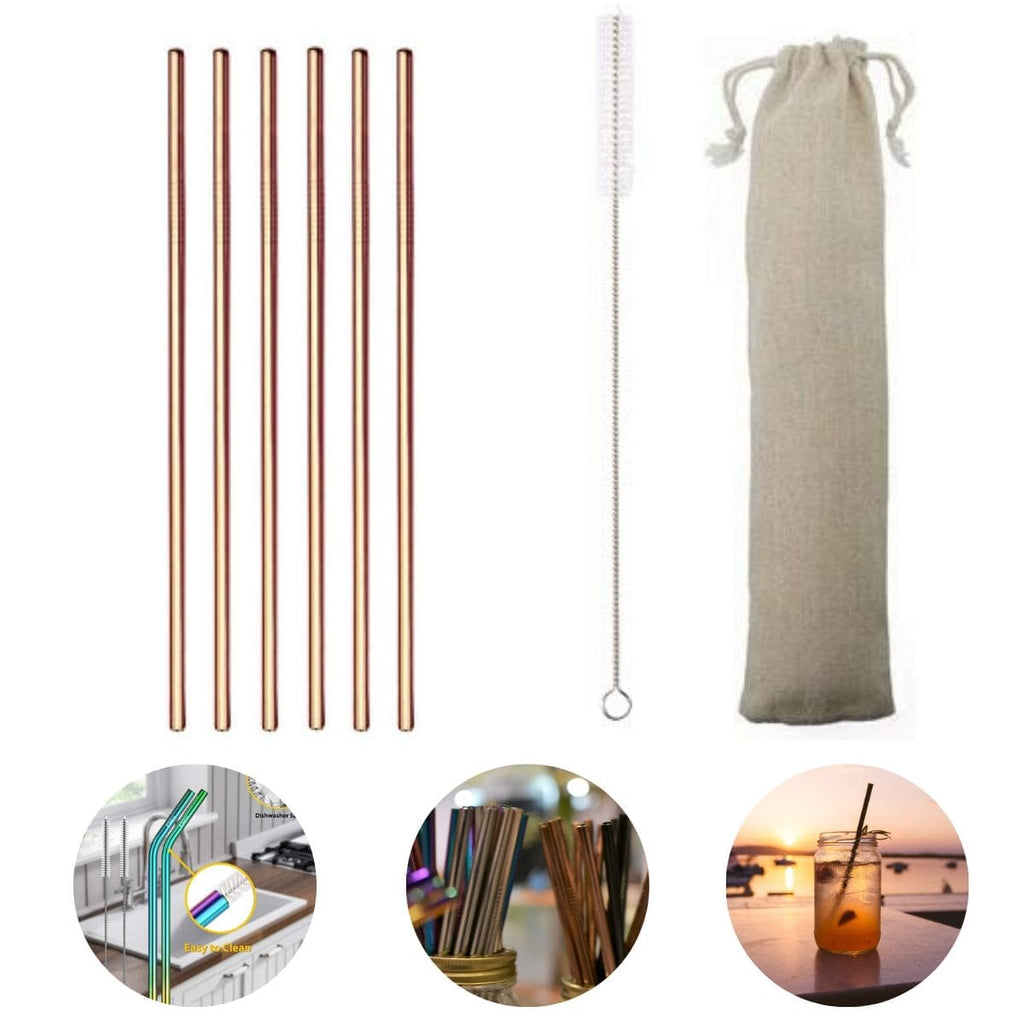 6 Pailles Reutilisables en Inox