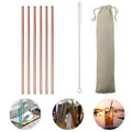 6 Pailles Reutilisables en Inox